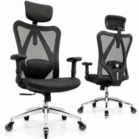 Duramont Ergonomic Office Chair Detailed Review: Is It a Smart Buy?